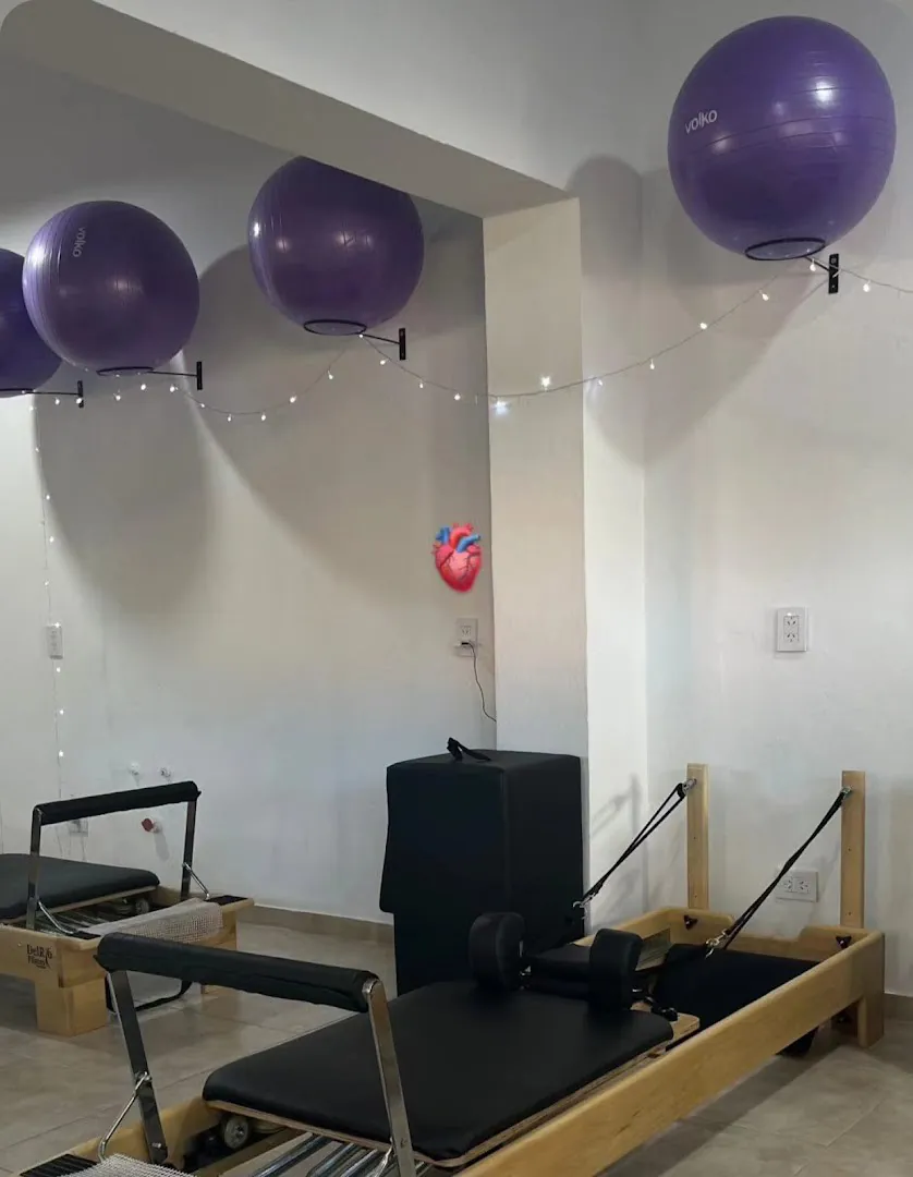 El estudio con reformers y pelotas violetas colgadas del techo